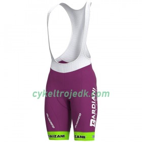 Bib Cykelshorts 2020 Bardiani-CSF N001 
